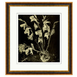 NIGHT FLOWER
